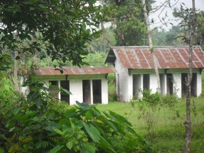 Buperkepurun_MCK2