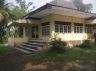 Buperkepurun_joglo1